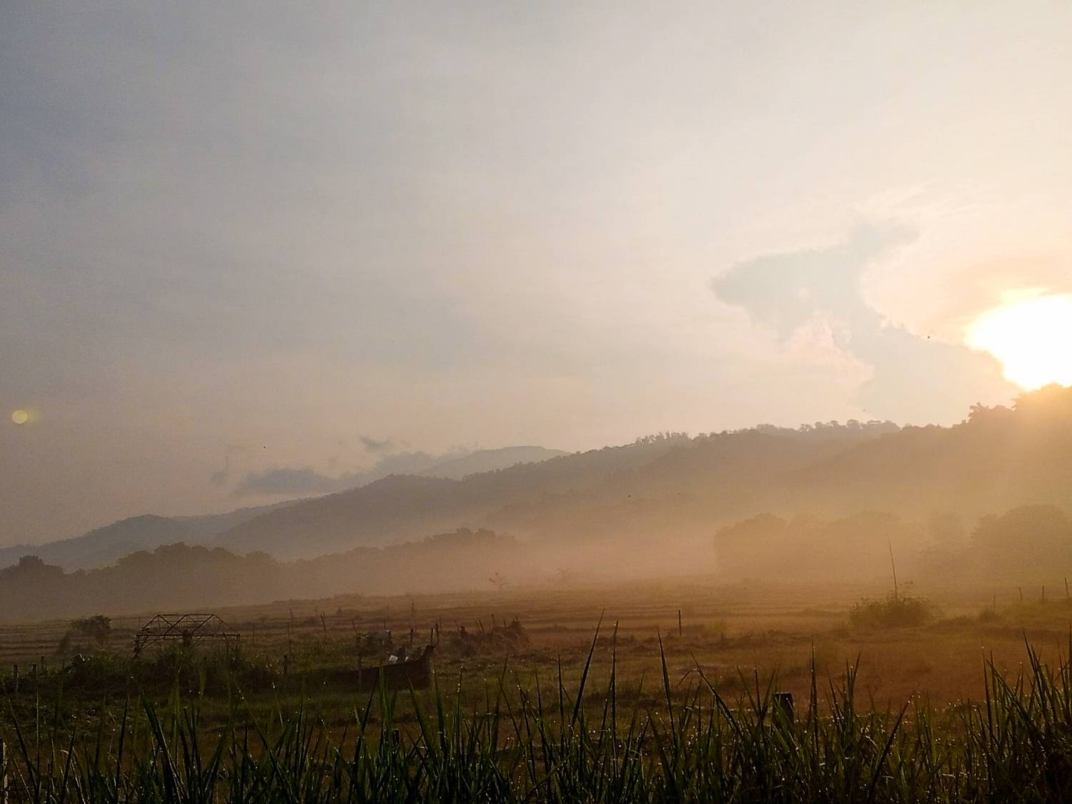 Morning drive