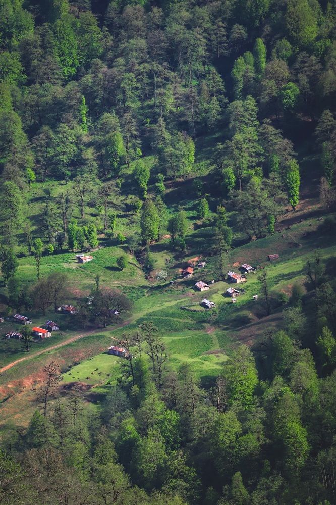 Фотография автора Akram