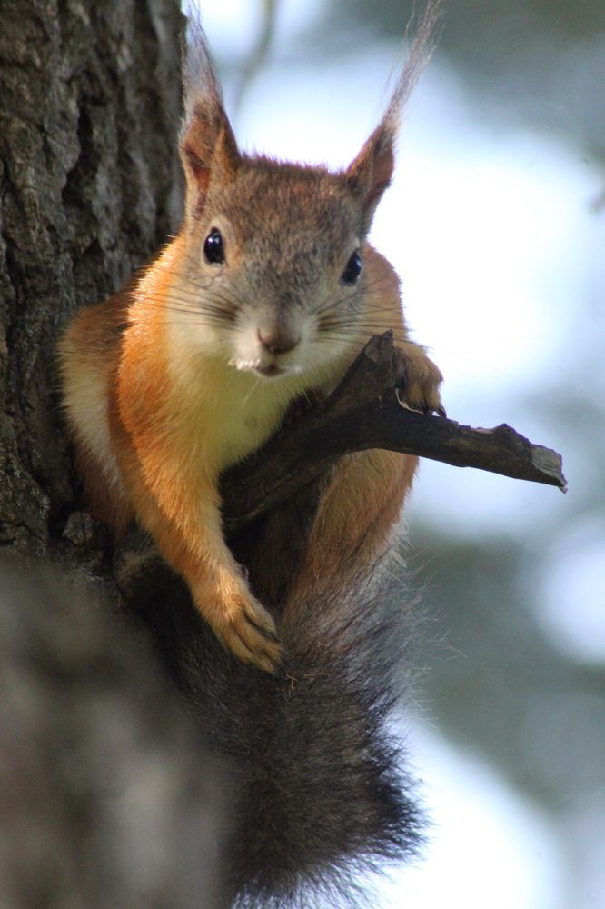 Photograph by Николай Николаевич Леухин