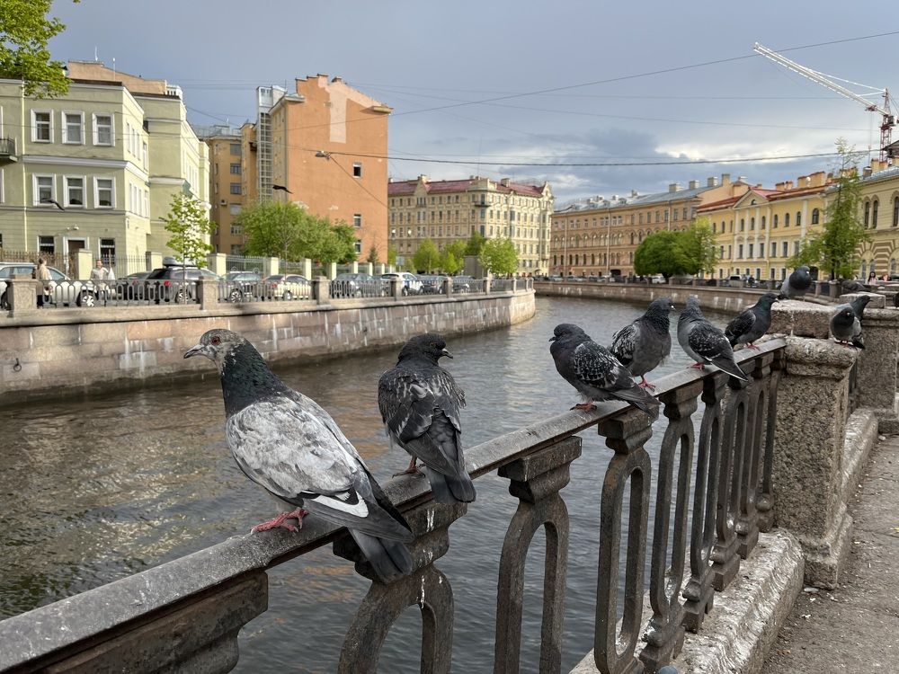 Photograph by Татьяна Трошина