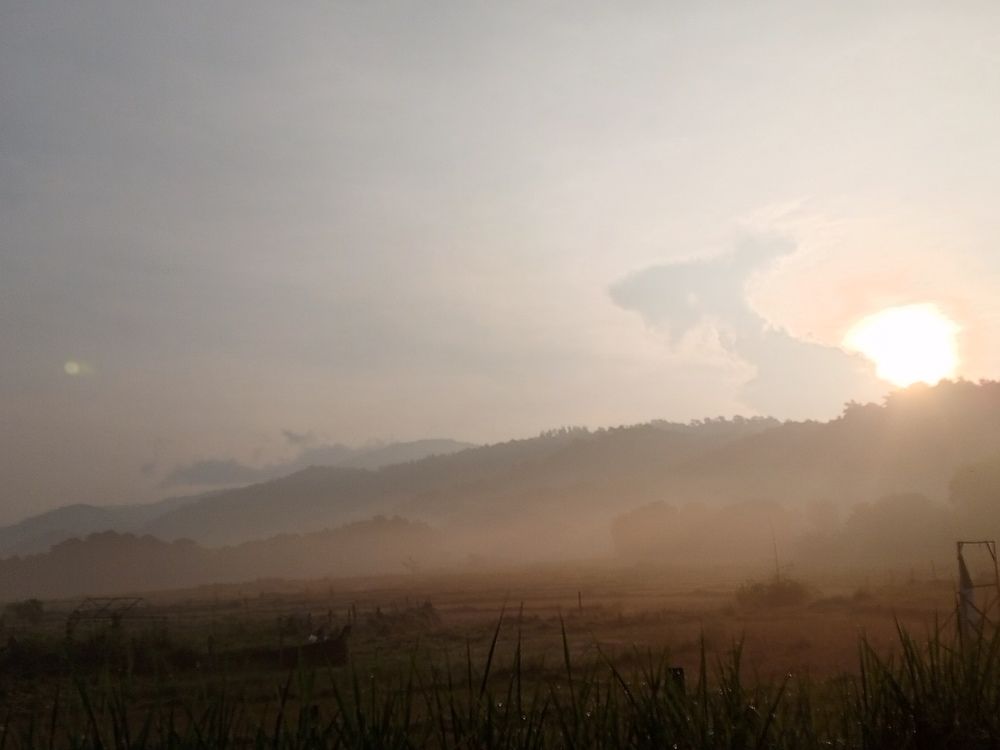 Photo #9191432