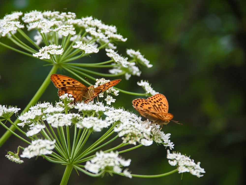Photograph by Денис Бутин