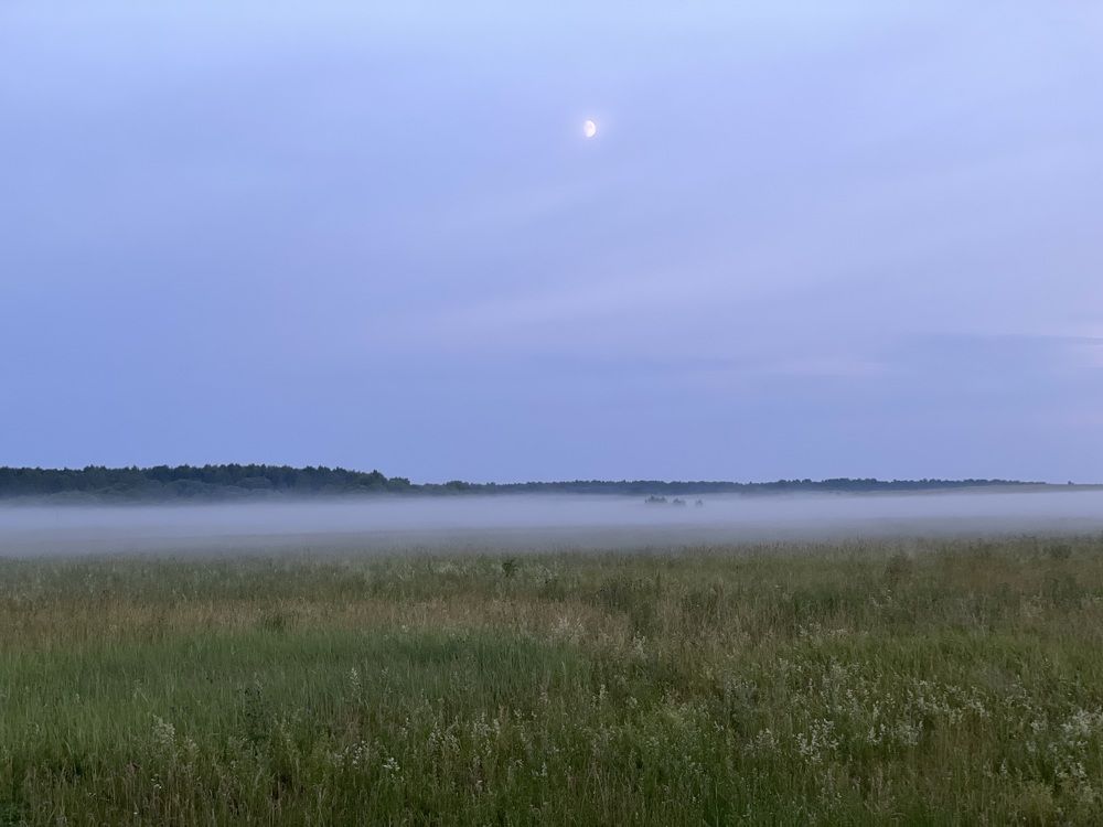 Photograph by Ольга Ильина