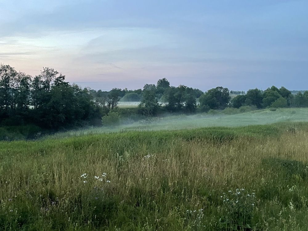 Photograph by Ольга Ильина