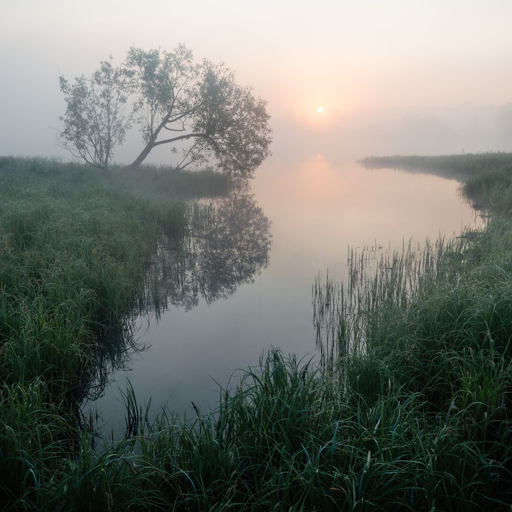 Photograph by Иван Мысов