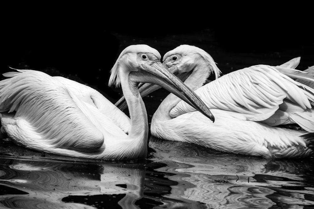 Photograph by Nitin sarkar