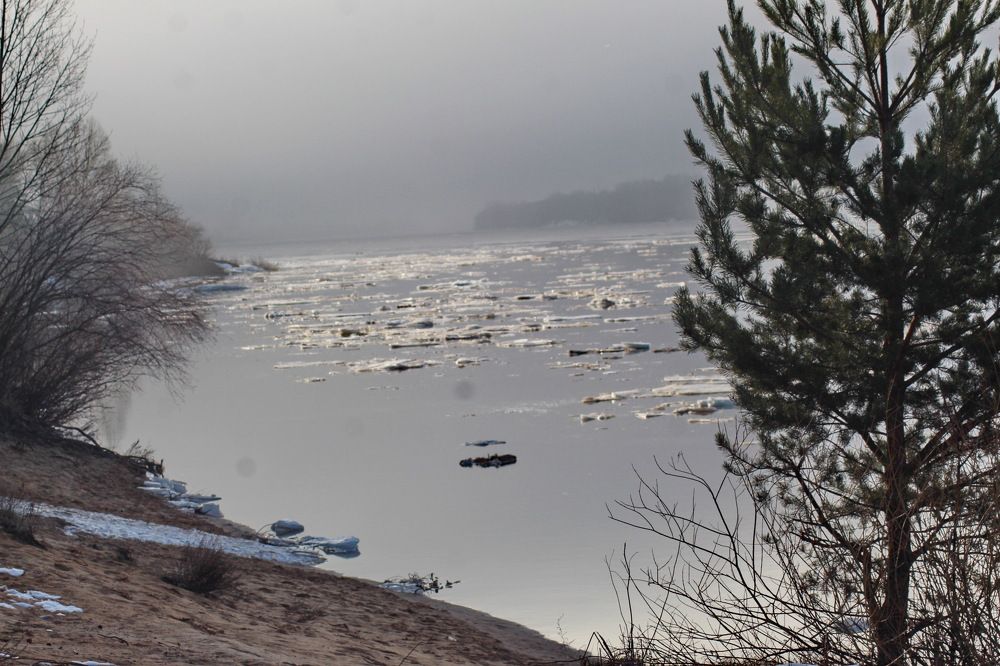 Photograph by Николай Николаевич Леухин