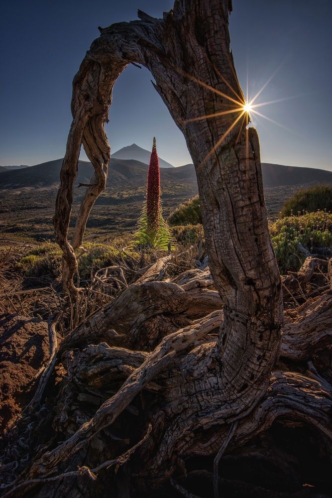 Photograph by Efren Yanes