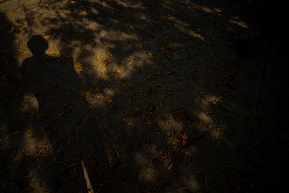 Photograph by Harsh Patel