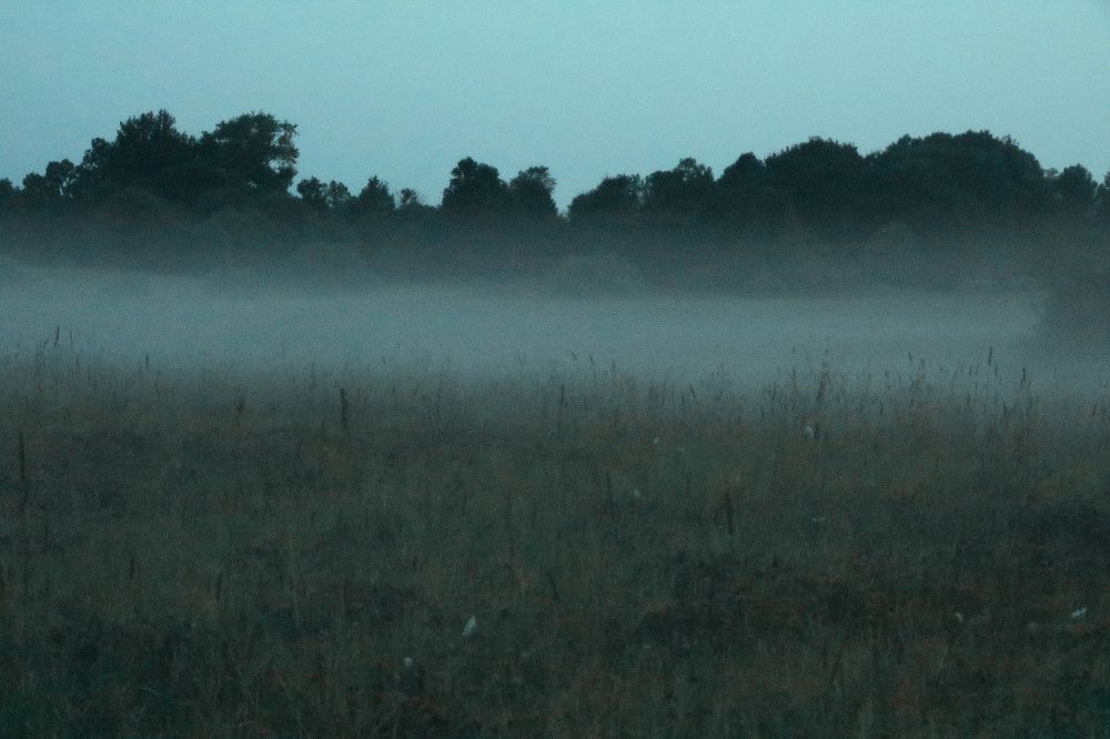 Photograph by Рондак Ульяна