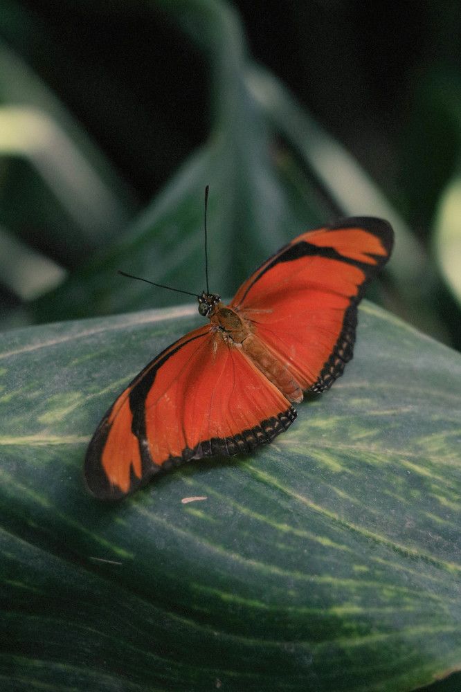 Photograph by Рондак Ульяна