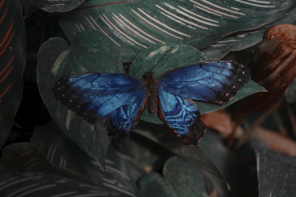 Photograph by Рондак Ульяна