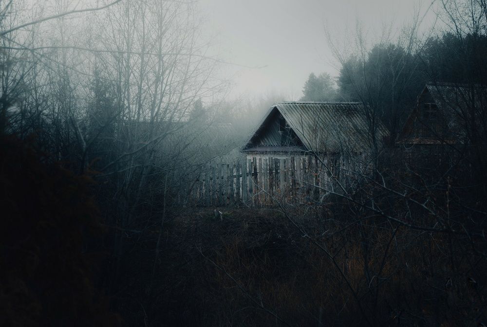 Photograph by Stanislav Shelby