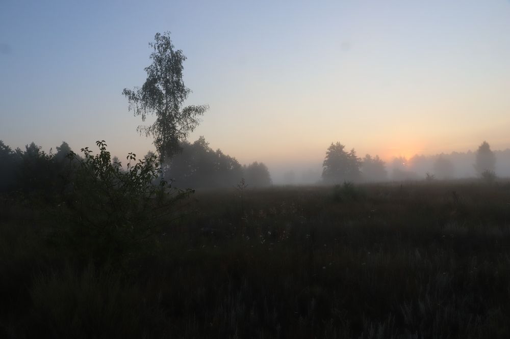 Photograph by Valeriy Bogushev