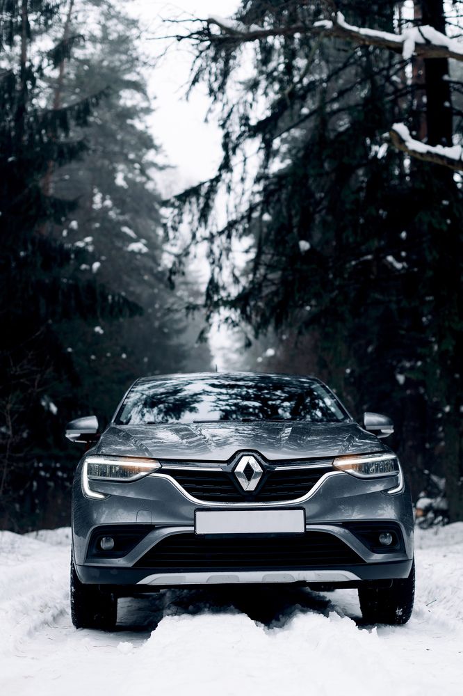 Photograph by Дарья Гомза