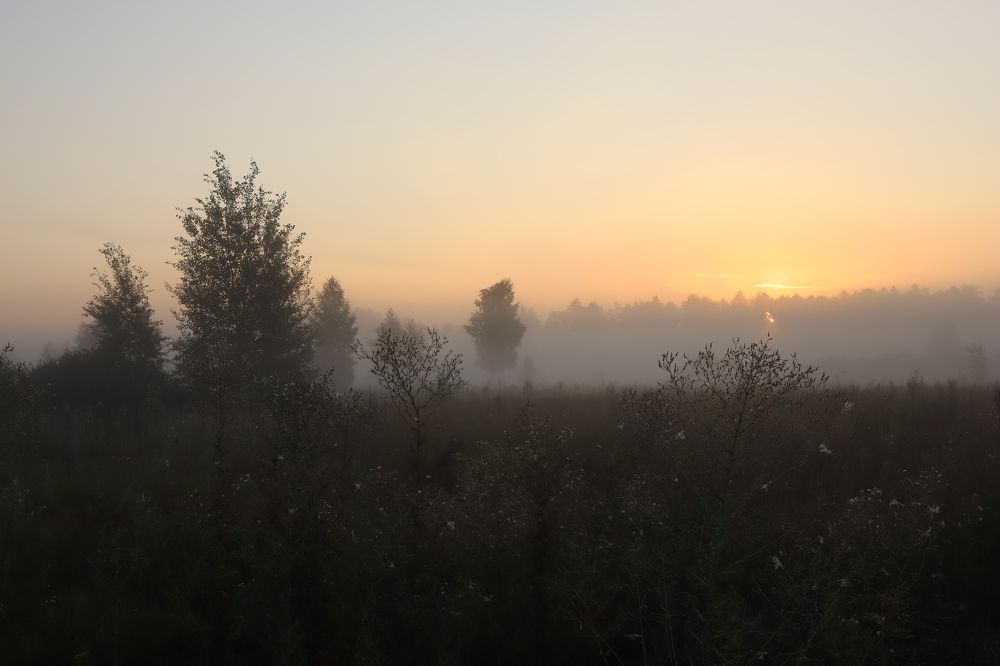 Photograph by Valeriy Bogushev