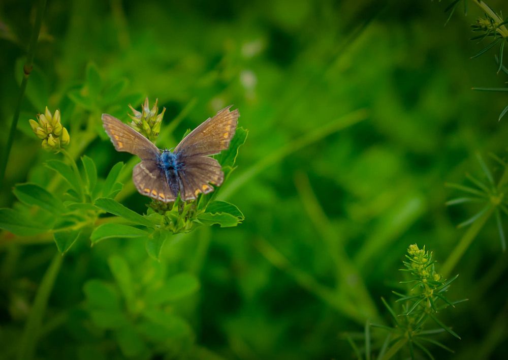 Фотография автора Оксана Белозерская