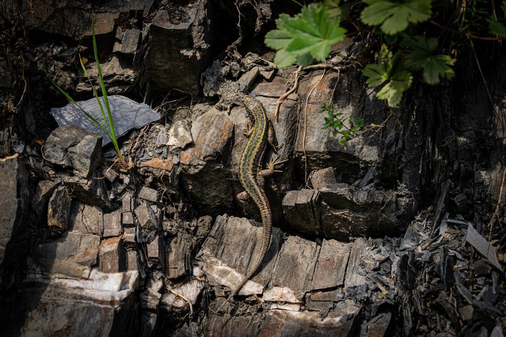Фотография автора Оксана Белозерская