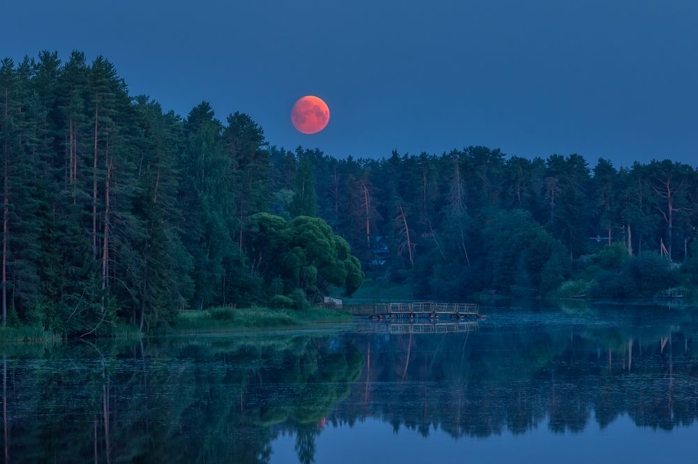 Photograph by Александр Пашеничев