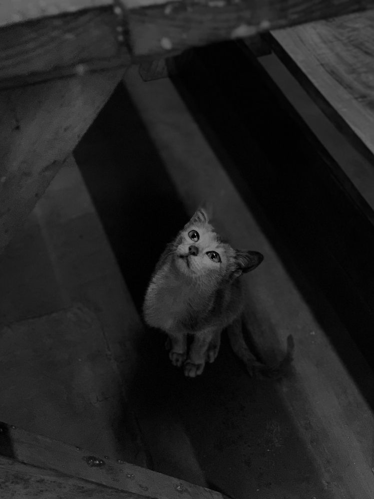 Photograph by Muhammed Asharaf km