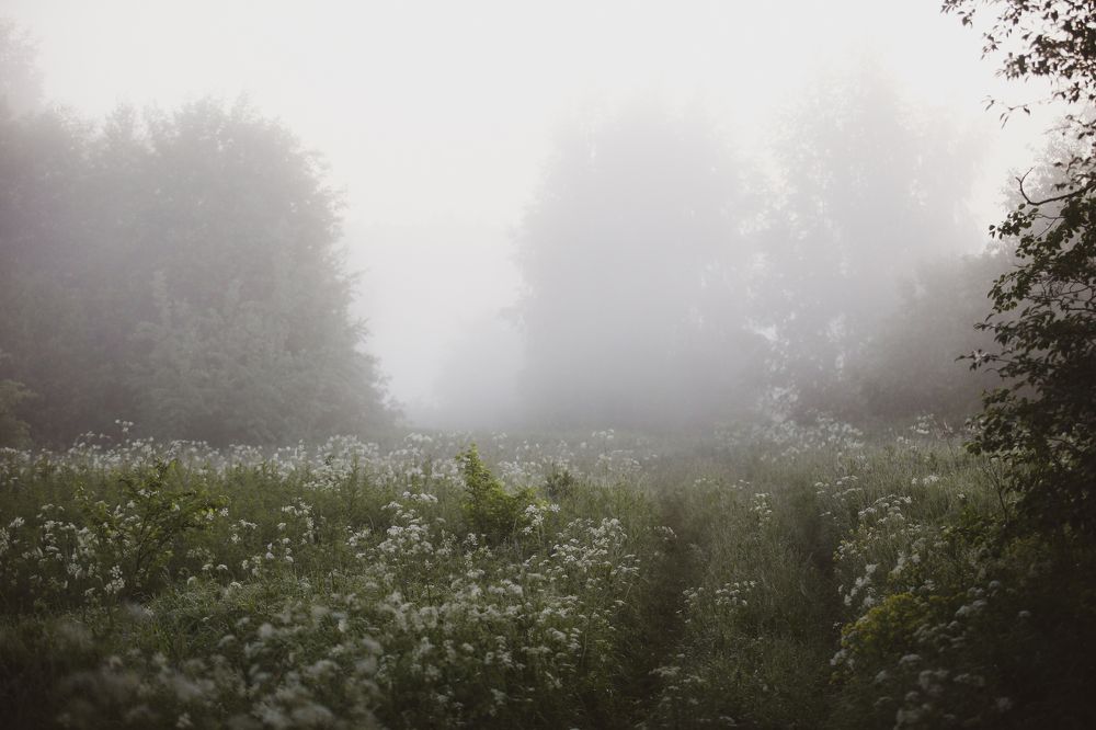 Photograph by Александр Ермаченко