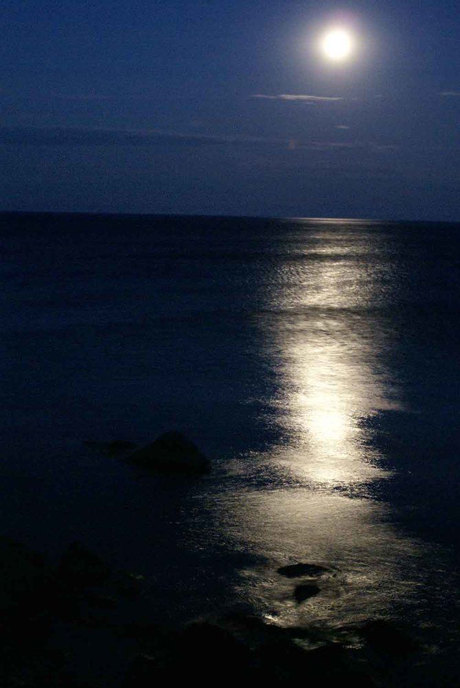 Photograph by Игорь Пшеничников