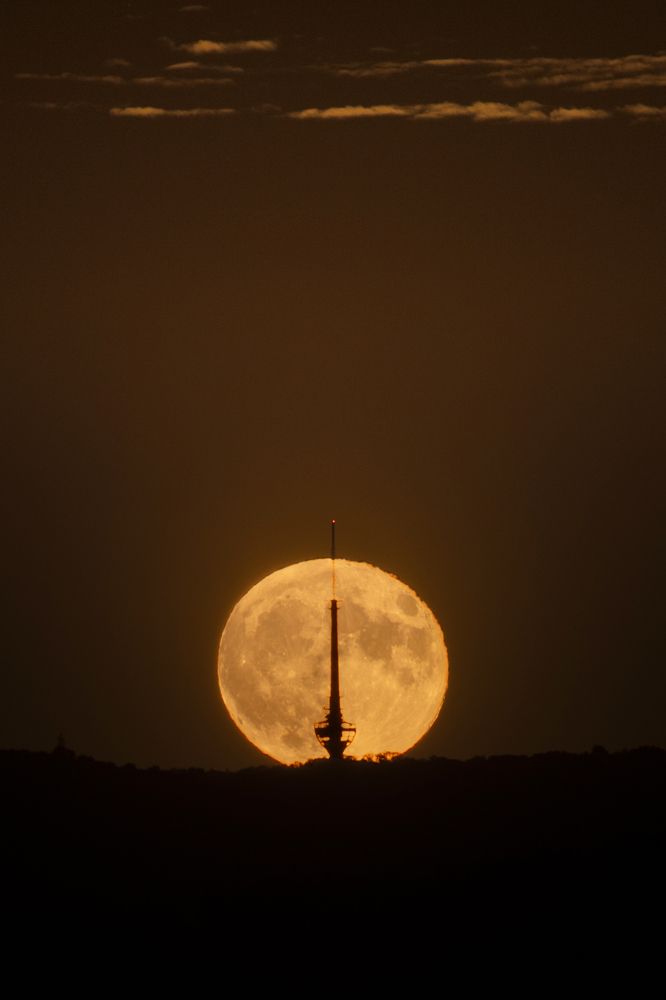 Photograph by Dejan Zakic