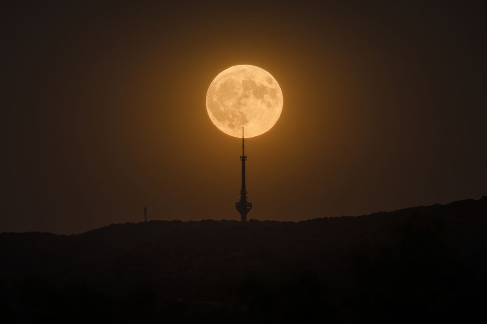 Photograph by Dejan Zakic