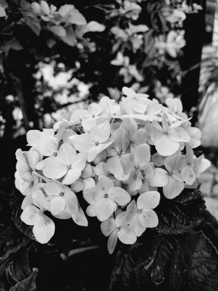 Photo #9191866