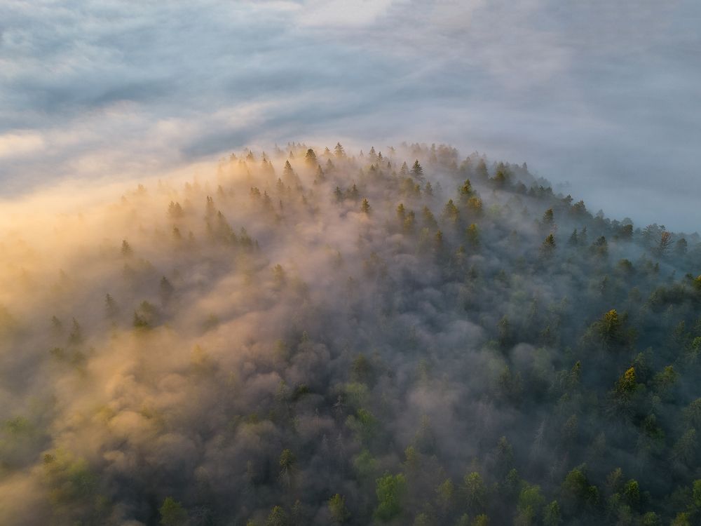 Photograph by Александр Пашеничев