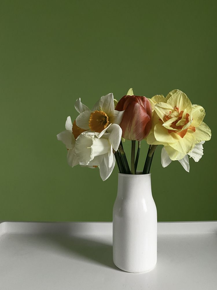 Photograph by Анастасия Кирюхина