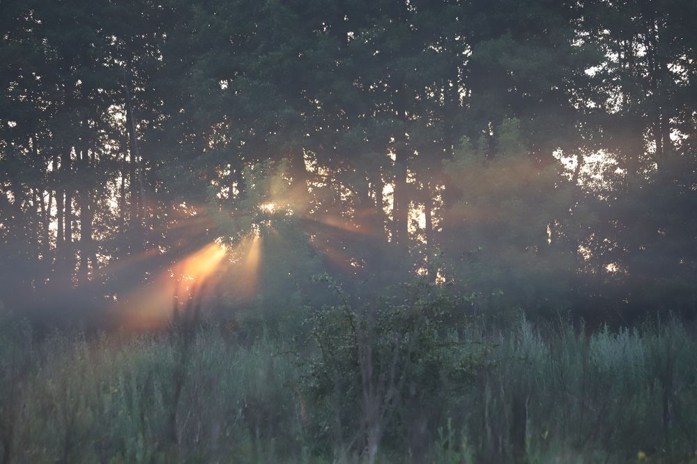 Photograph by Valeriy Bogushev