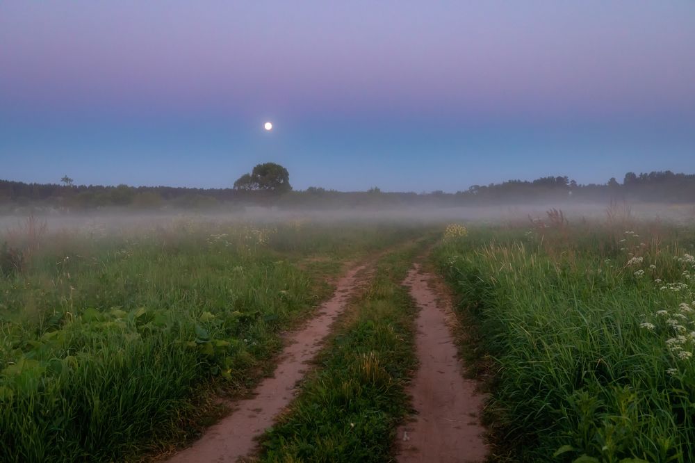 Фотография автора Александр Пашеничев