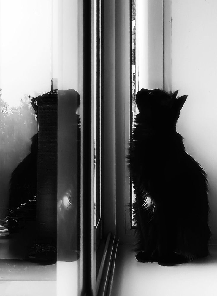 Photograph by Юлия Лушникова