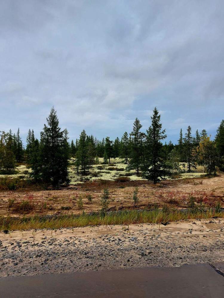 Photograph by Степан Павловский