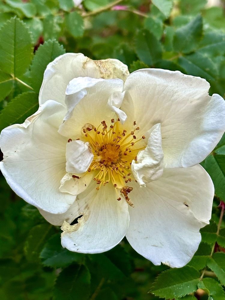 Photograph by Ekaterina Vasilkova