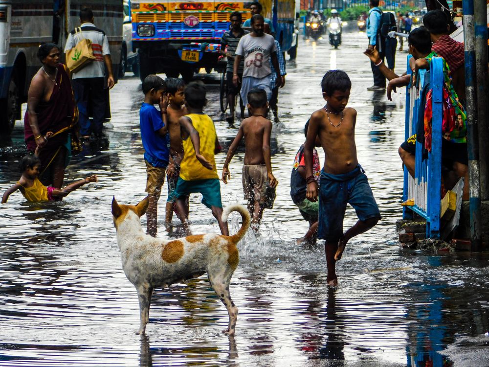 Photograph by Debomita Banerjee