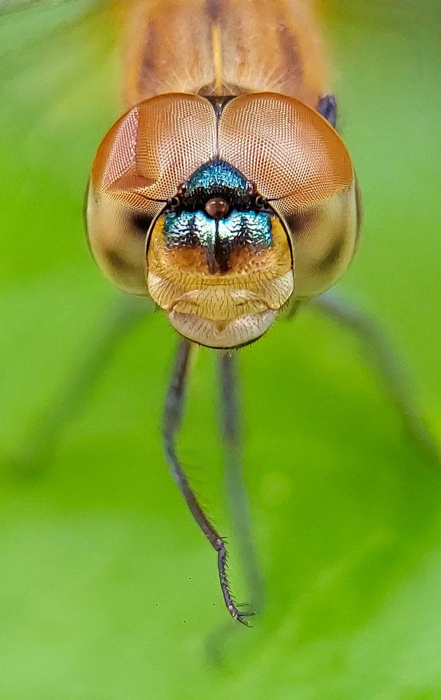 Photograph by Sumitava Chowdhury