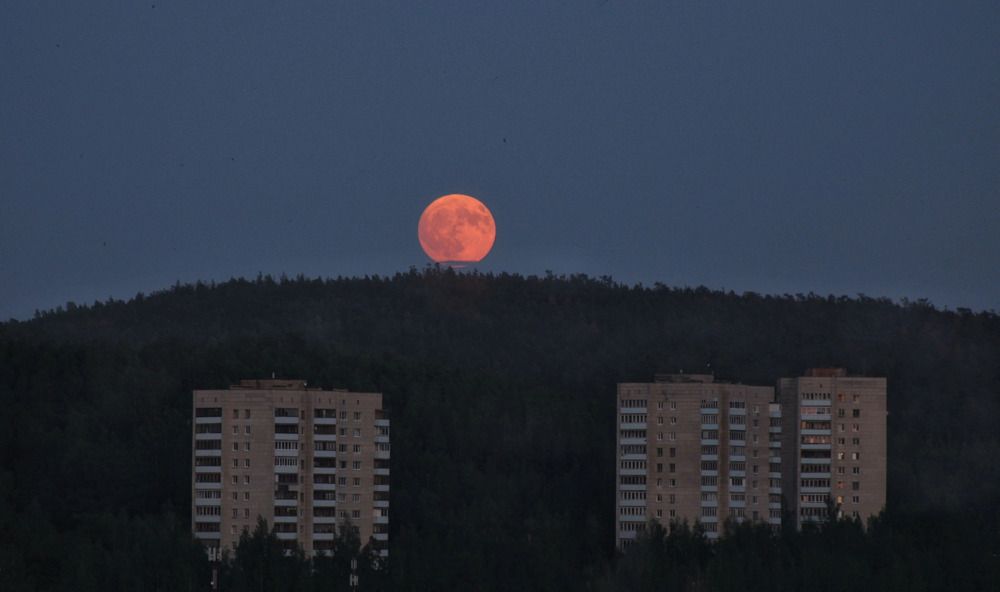 Photograph by Оксана Сухаричева