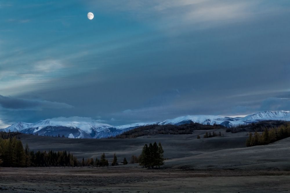 В Курайской степи.