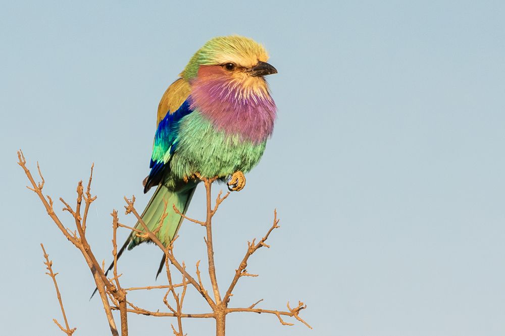 Photograph by LAURA SANCHEZ