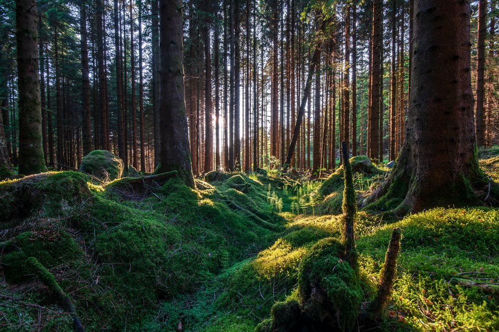 Photograph by Ramazan Aivazov