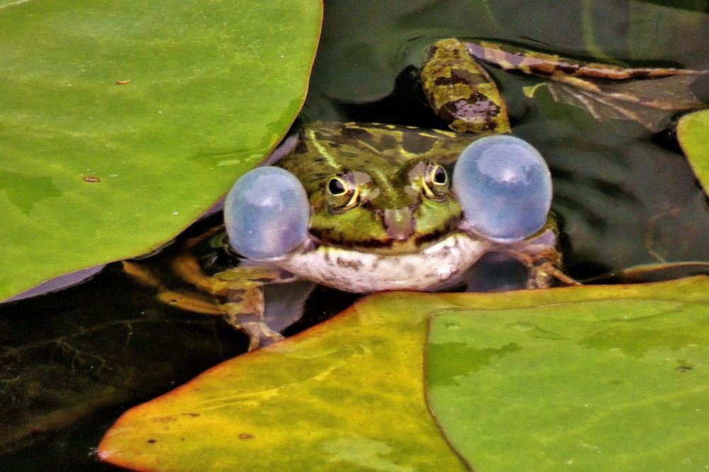 Photograph by backareva irina