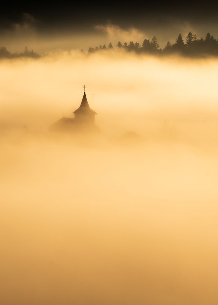 Photograph by Alexandru Handrache