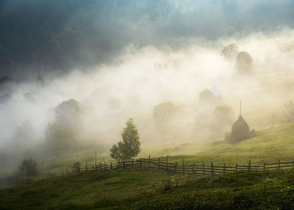 Photograph by Alexandru Handrache