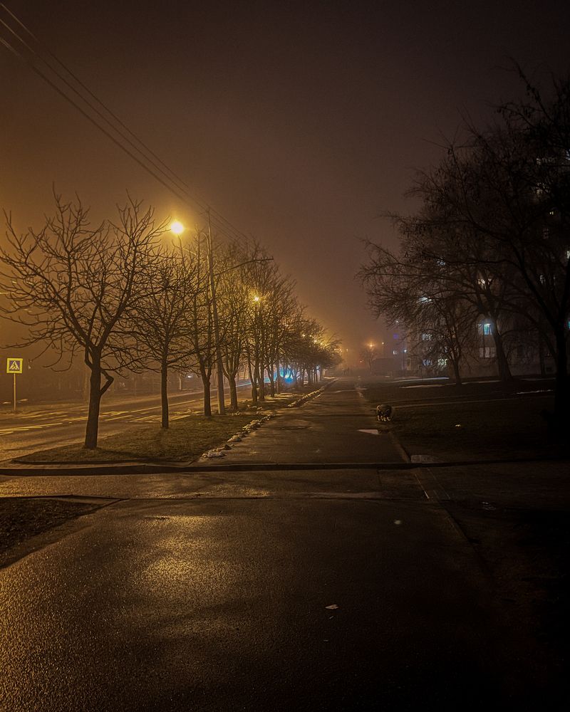 Photograph by Ольга