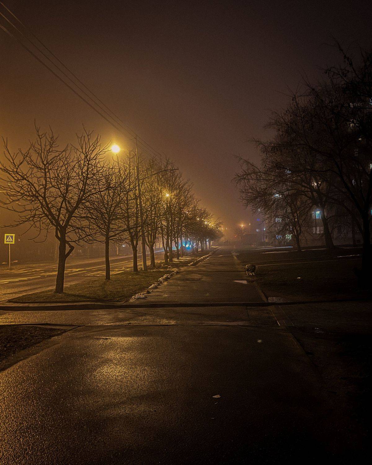 Photo #9192291