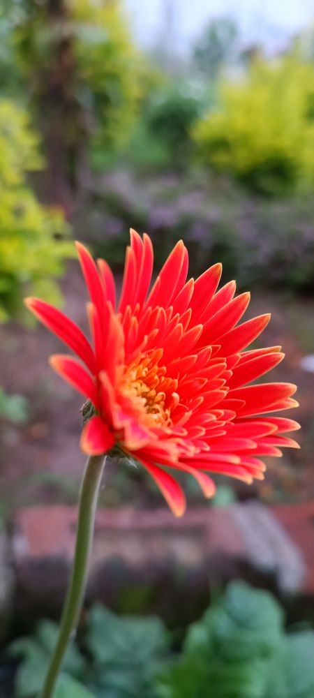 Photograph by Nidhi Singh