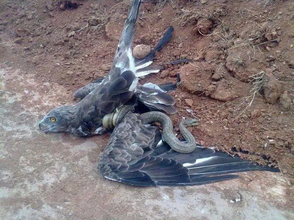 Photograph by KASSIM MOHAMMED KISSIWA