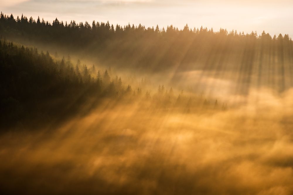 Photograph by Alexandru Handrache